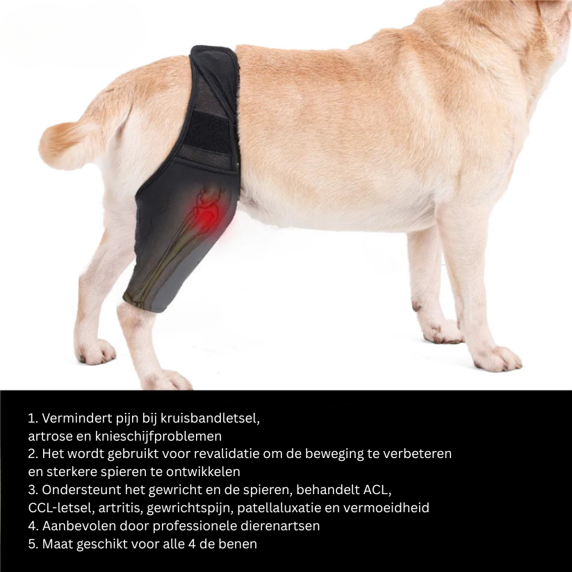 PootVitaal Kniebrace voor Honden – Ondersteuning bij Gewrichtspijn en Revalidatie