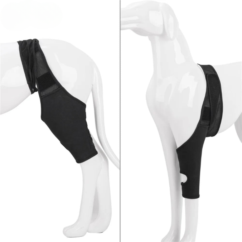PootVitaal Kniebrace voor Honden – Ondersteuning bij Gewrichtspijn en Revalidatie