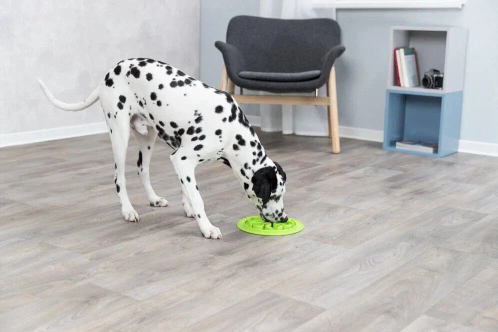 Siliconen Voermat voor Langzaam Eten – 24 cm