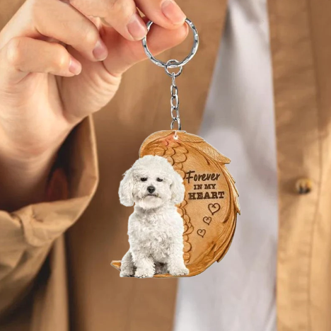 Bichon Frise | Voor Altijd in Mijn Hart