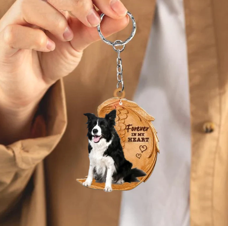 Border Collie | Voor Altijd in Mijn Hart