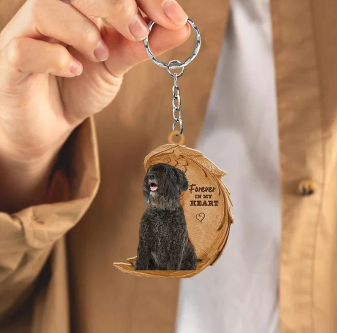 Bouvier des Flandres 3 | Voor Altijd in Mijn Hart