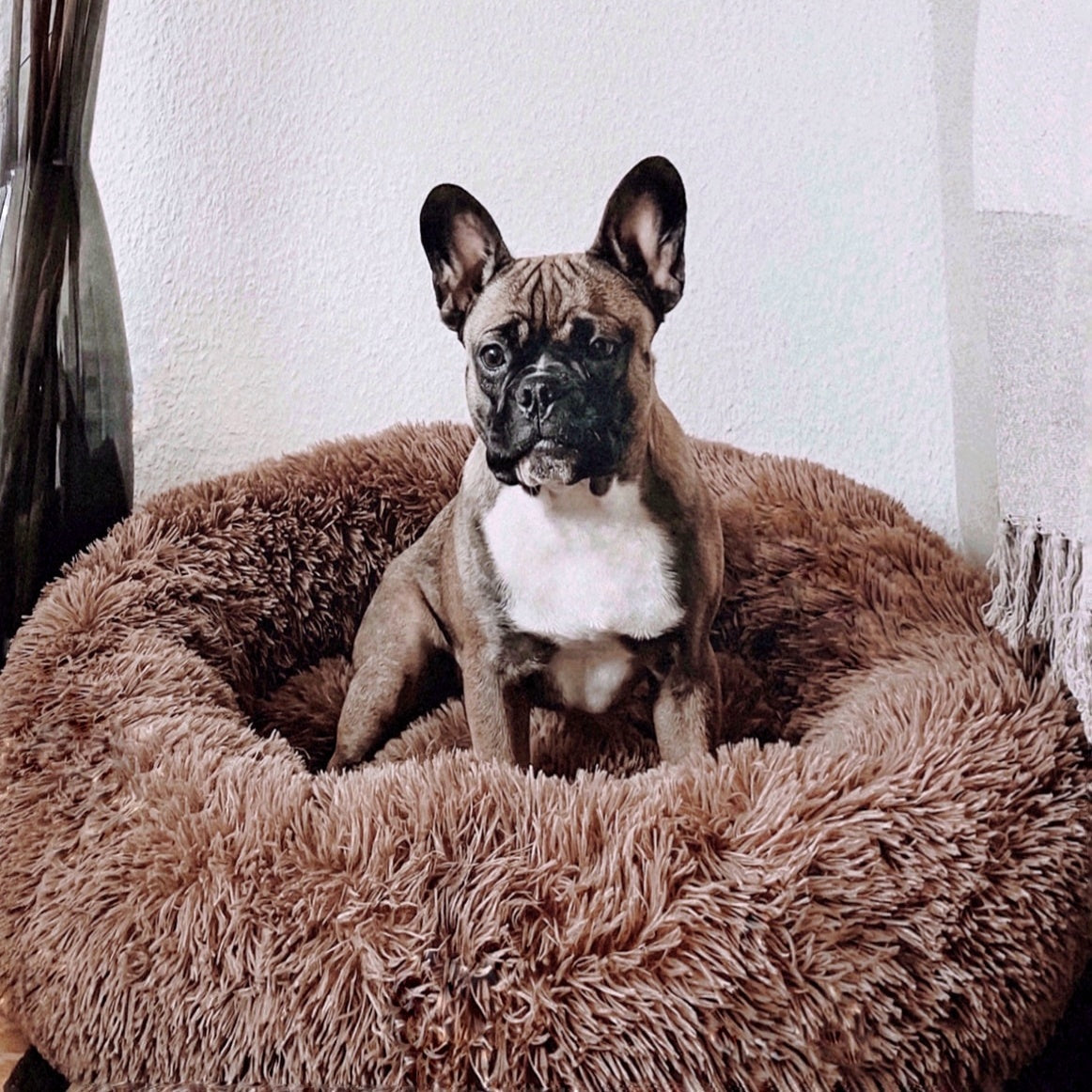 FluffyNest Comfort Hondenbed – Orthopedisch Pluche Ligkussen voor Honden