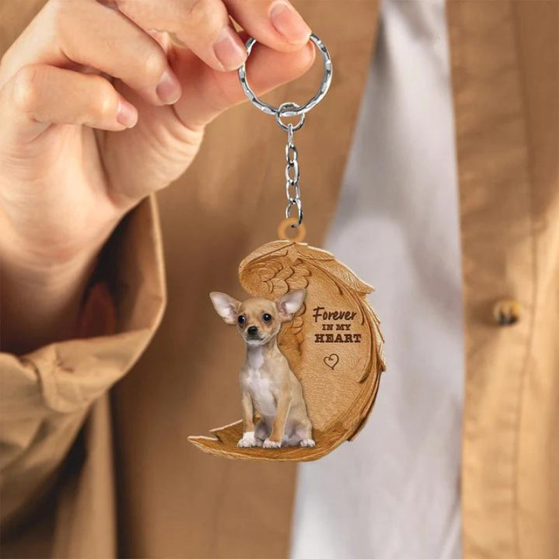 Chihuahua | Voor Altijd in Mijn Hart