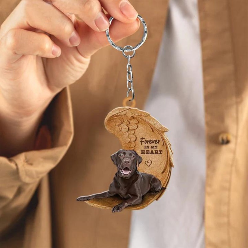 Chocolate Labrador Retriever | Voor Altijd in Mijn Hart
