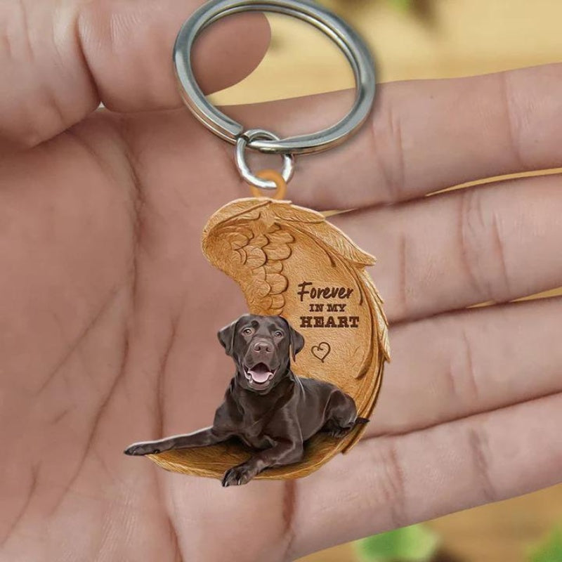 Chocolate Labrador Retriever | Voor Altijd in Mijn Hart