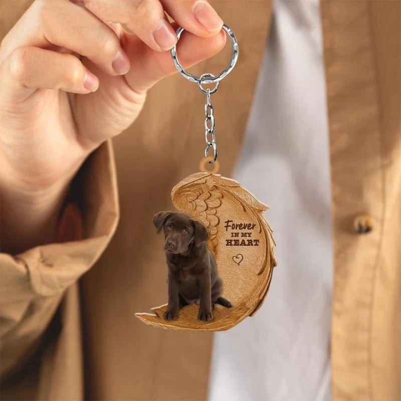 Chocolate Labrador | Voor Altijd in Mijn Hart