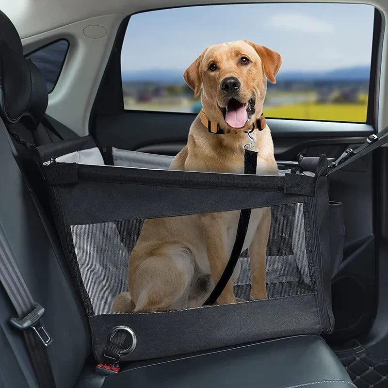 Dieren Reismand voor in de Auto