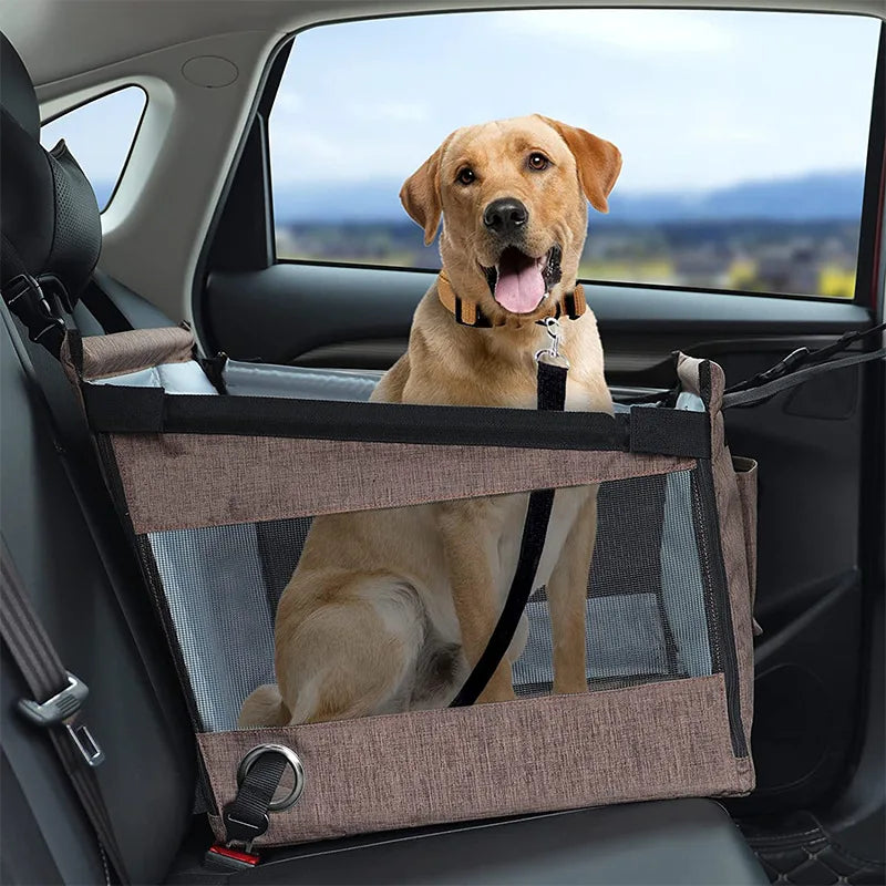 Dieren Reismand voor in de Auto