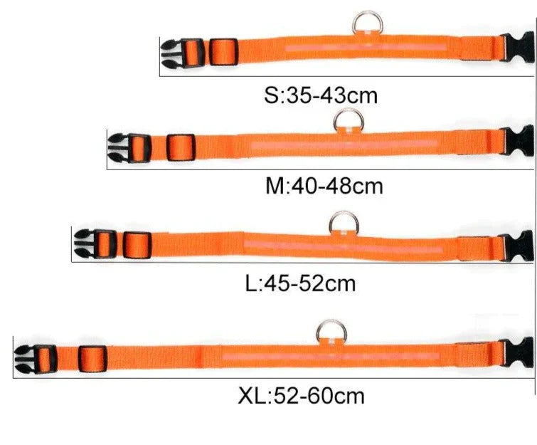 GlowPets LED Halsband – Veiligheid & Zichtbaarheid voor Huisdieren
