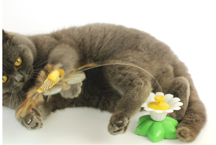 VlinderVlucht Interactief Katten Speeltje – Met Bewegende Vlinder