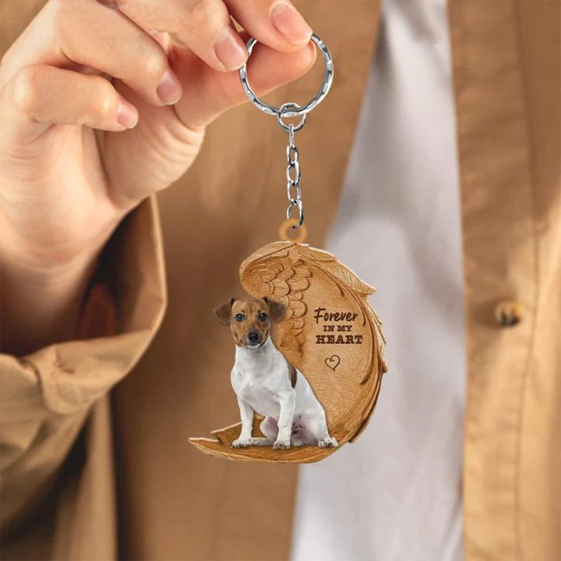 Jack Russell Terrier | Voor Altijd in Mijn Hart