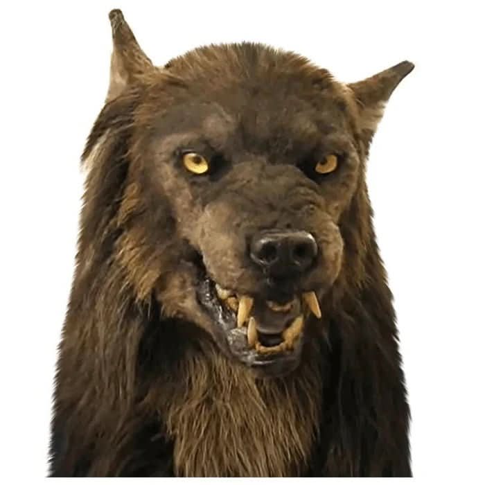 Realistische Weerwolf Gezichtsmasker voor Halloween en Cosplay
