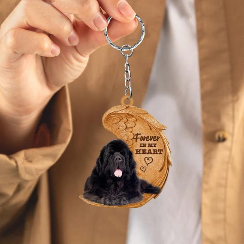 Newfoundland Hond | Voor Altijd in Mijn Hart