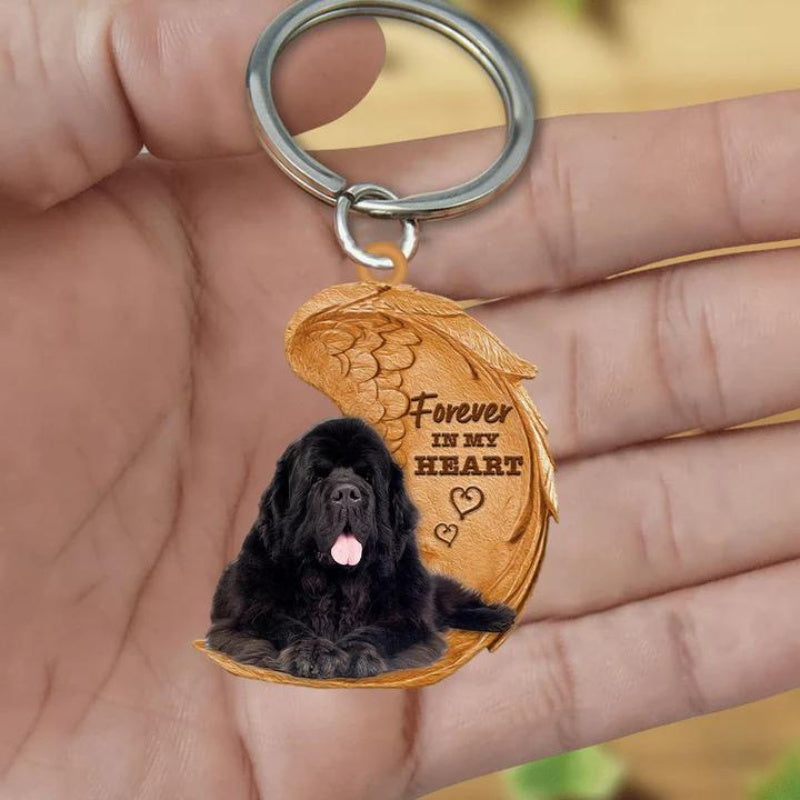 Newfoundland Hond | Voor Altijd in Mijn Hart
