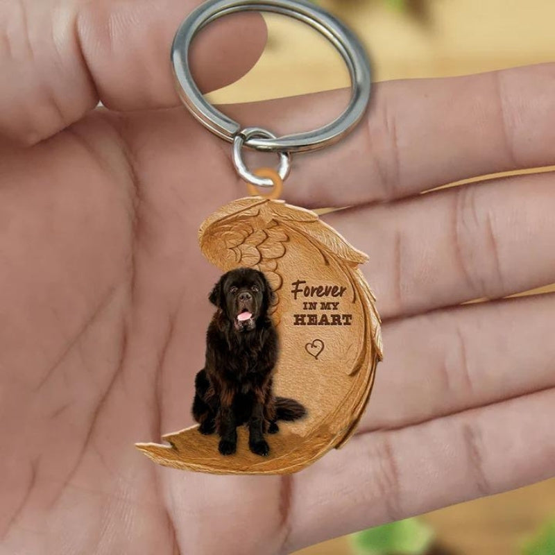Newfoundland | Voor Altijd in Mijn Hart