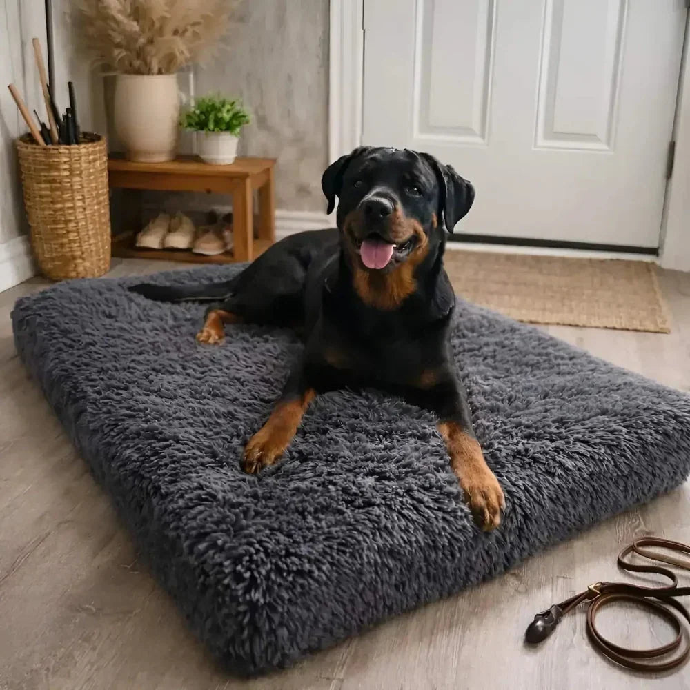 Ergonomisch Hondenbed met Memory Foam - Comfortabele Ondersteuning voor Jouw Hond
