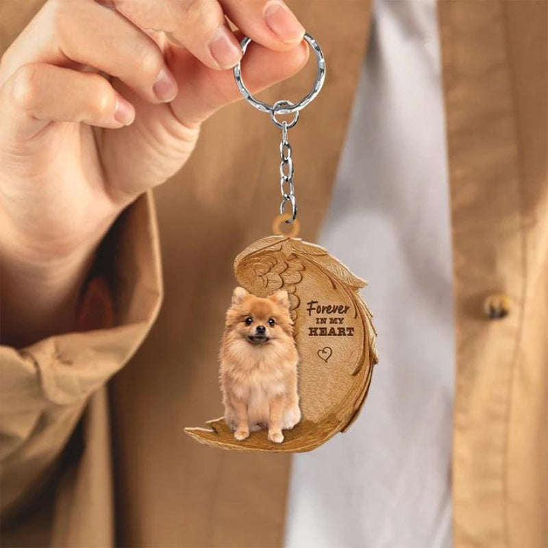 Pomeranian keeshond | Voor Altijd in Mijn Hart