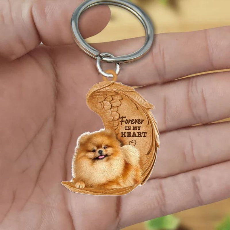 Pomeranian keeshond| Voor Altijd in Mijn Hart
