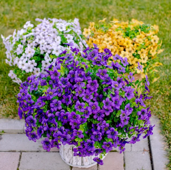 Prachtige Bloemen voor buiten - (1+1 GRATIS)