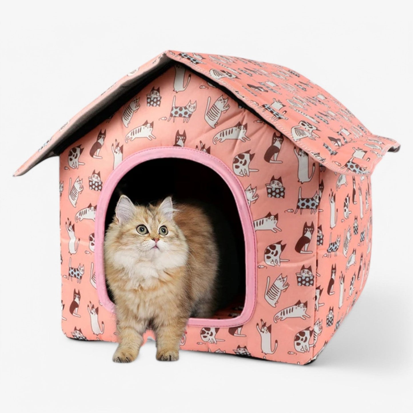 Weerbestendig Dierenhuis "KnusNest" voor Katten en Kleine Honden