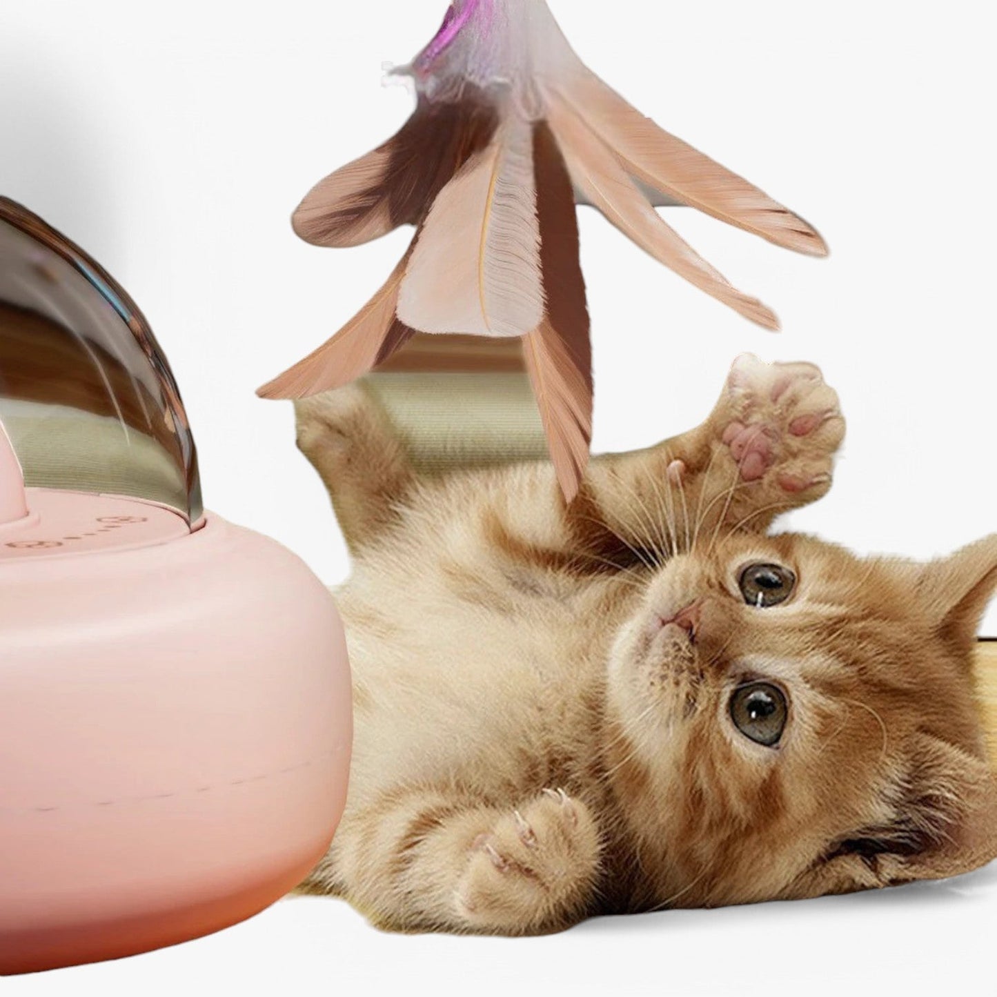 Slimme Kattenlaser "Jachtlicht" met Regenboogfunctie en USB-oplaadfunctie