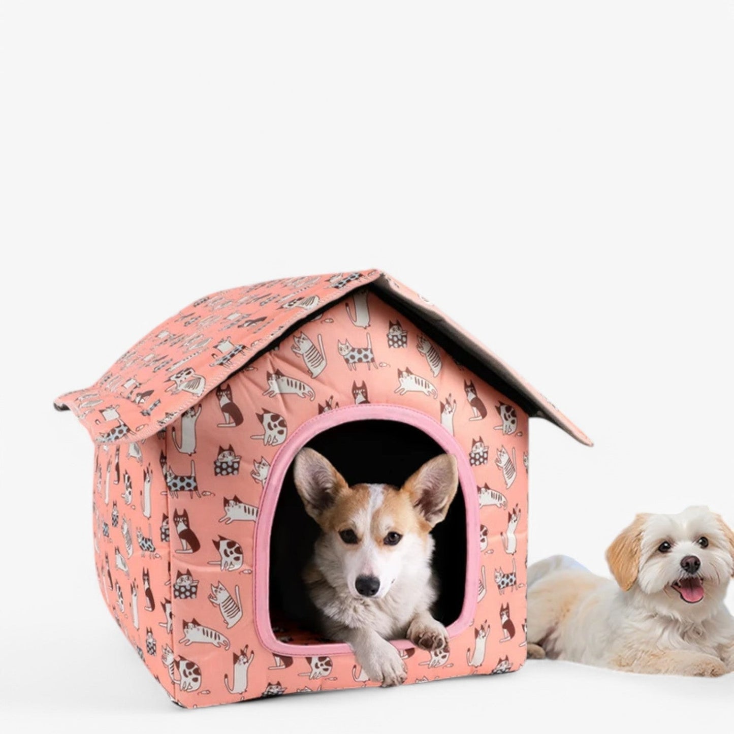 Weerbestendig Dierenhuis "KnusNest" voor Katten en Kleine Honden