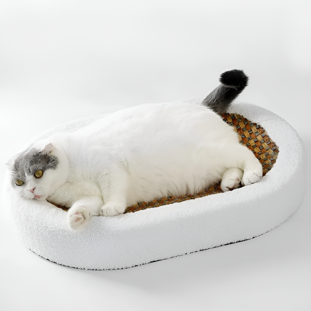 Luxe Kattenbed met Kraboppervlak – Pluche 2-in-1 Kattenmeubel
