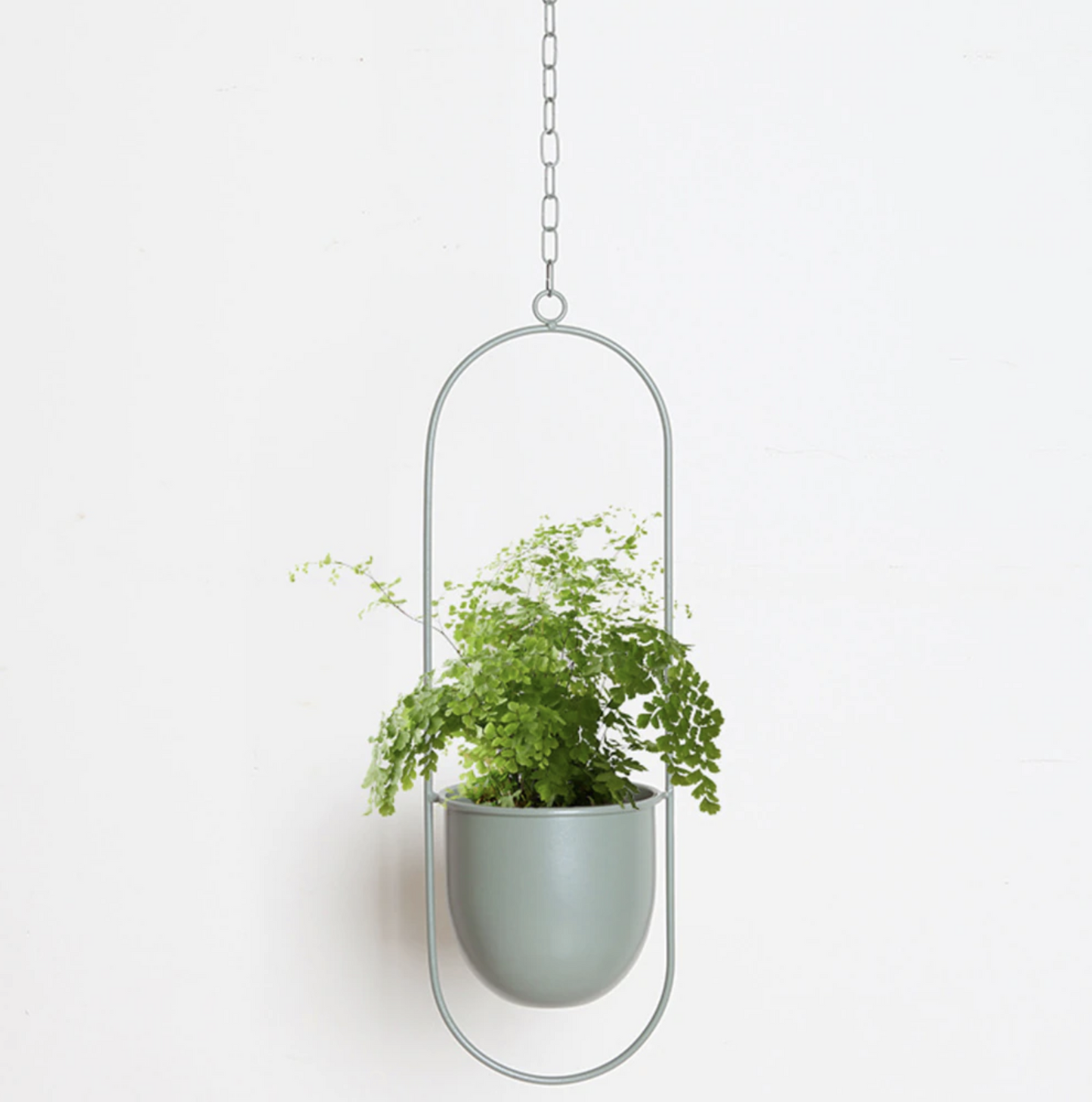 FloraFrame – Elegante Metalen Plantenhouder voor aan Muur of Plafond