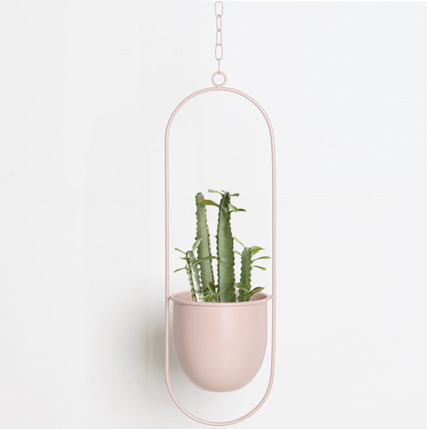 FloraFrame – Elegante Metalen Plantenhouder voor aan Muur of Plafond