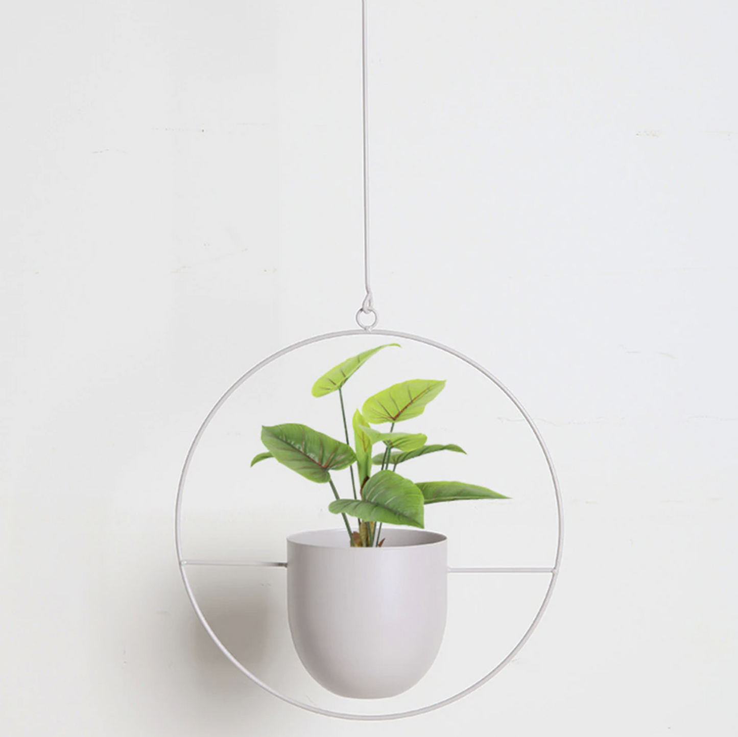 FloraFrame – Elegante Metalen Plantenhouder voor aan Muur of Plafond