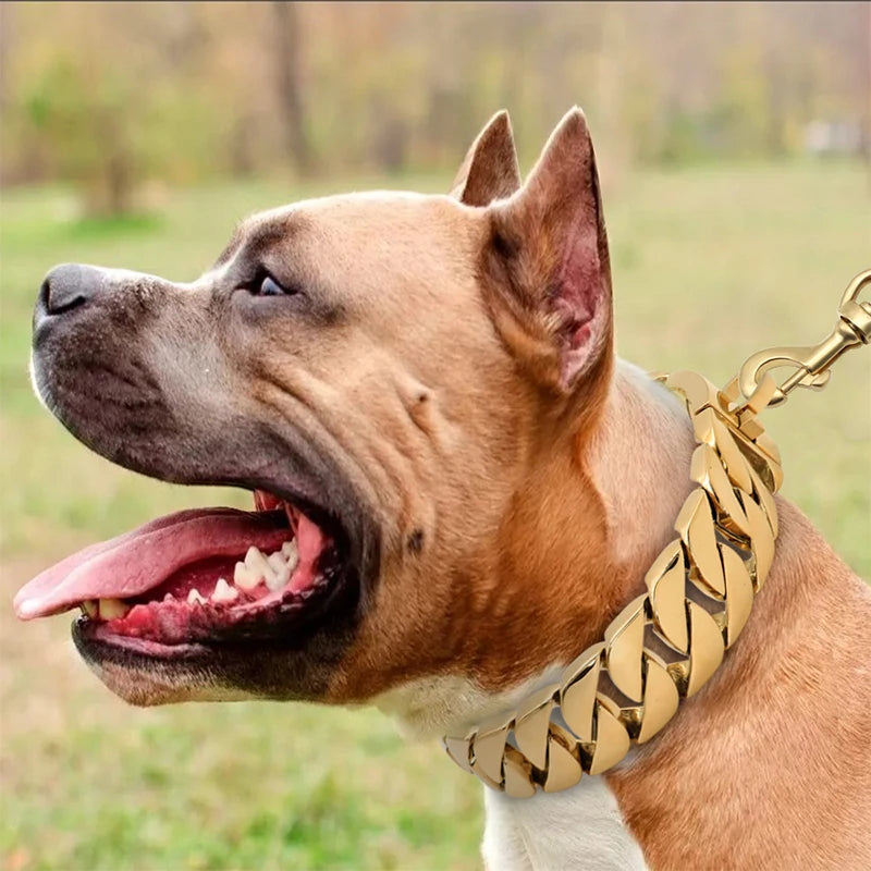 KrachtHals Metalen Hondenketting – Stevige Roestvrijstalen Halsband voor Grote Honden