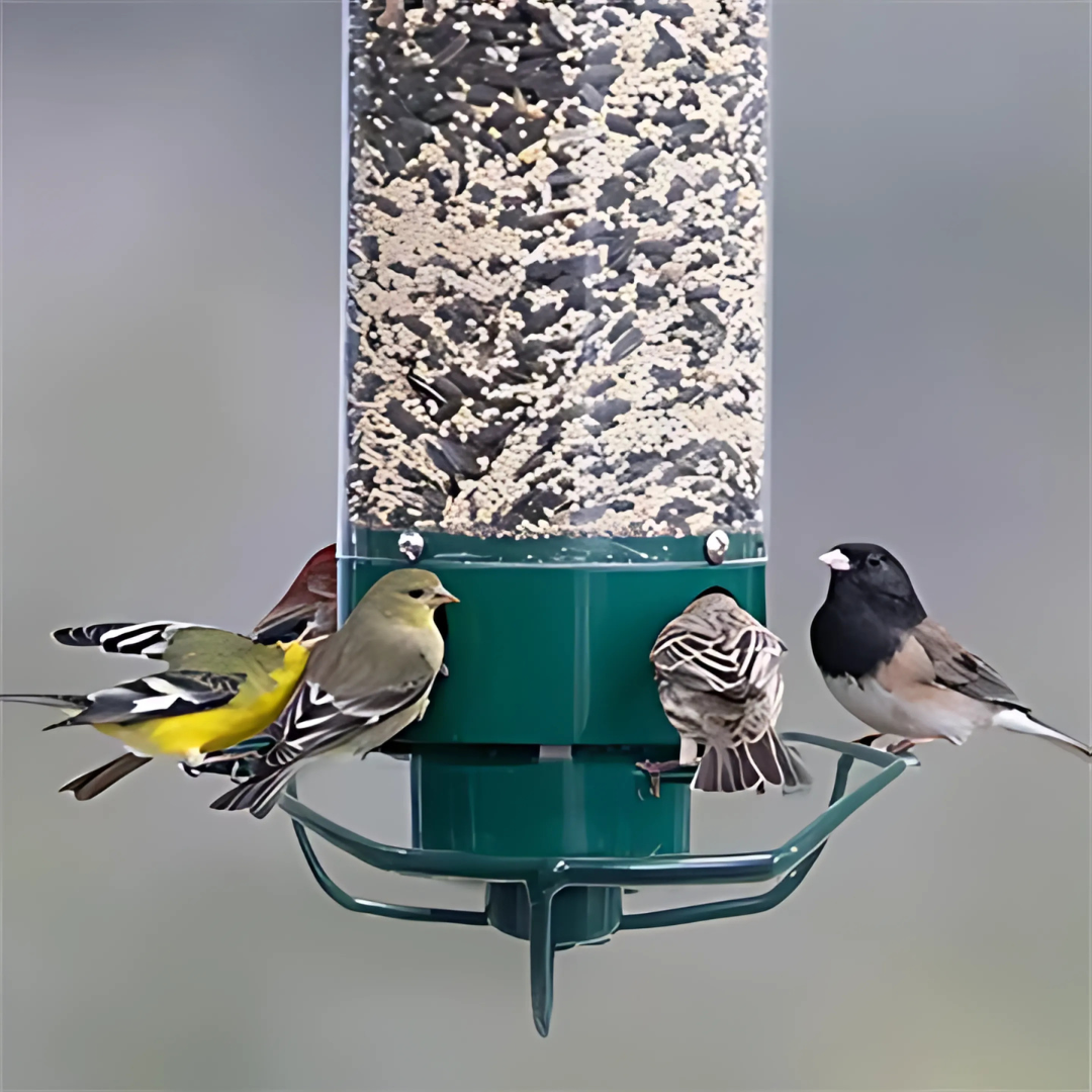 SlimVogel Eekhoornbestendige Vogelfeeder – Duurzaam & Vogelvriendelijk