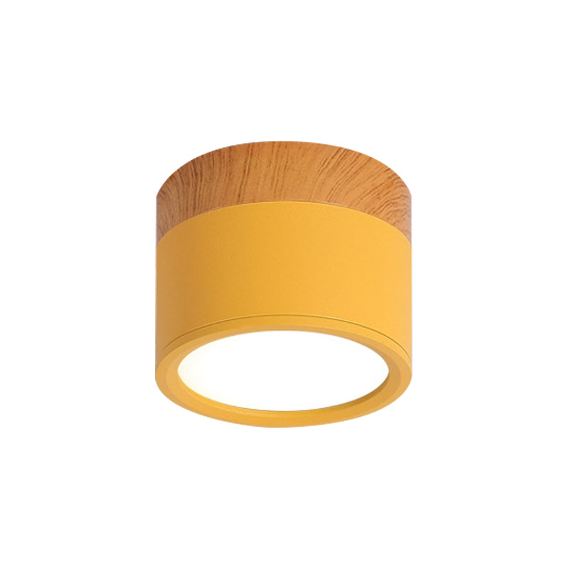 VibrantGlow - Kleine Plafondlamp in Stijl