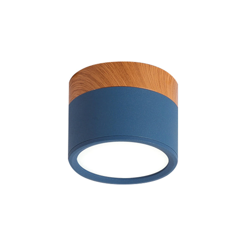VibrantGlow - Kleine Plafondlamp in Stijl
