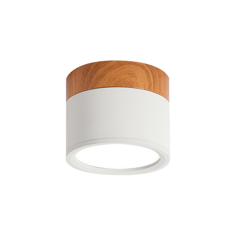 VibrantGlow - Kleine Plafondlamp in Stijl