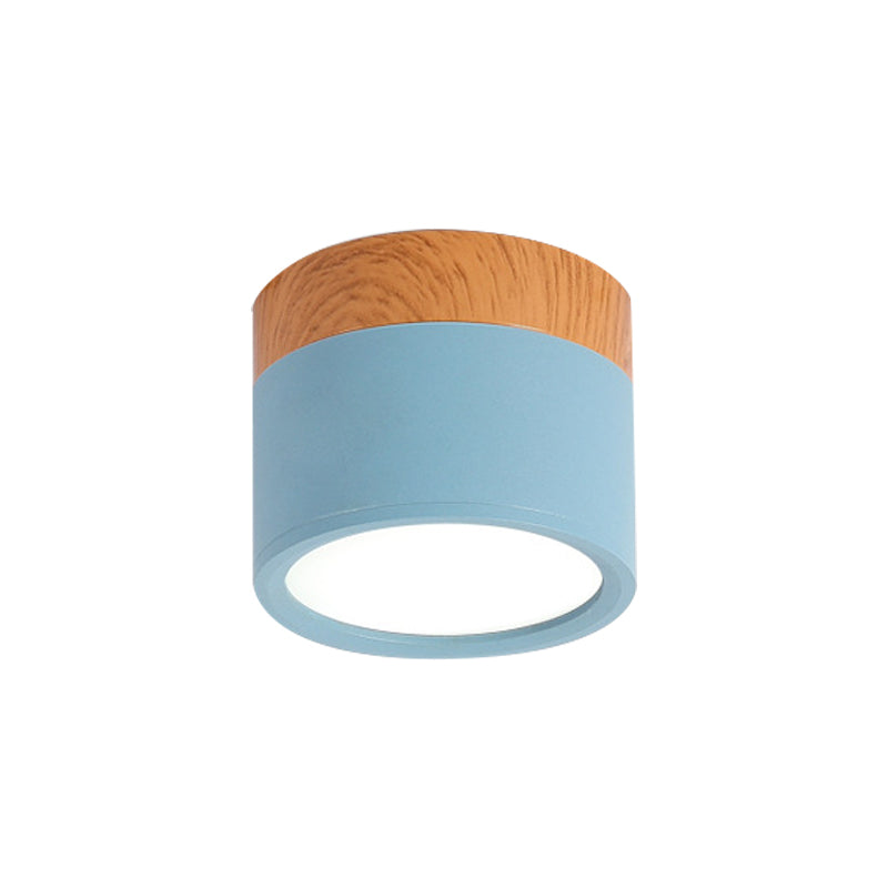 VibrantGlow - Kleine Plafondlamp in Stijl