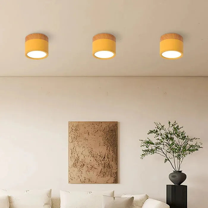 VibrantGlow - Kleine Plafondlamp in Stijl
