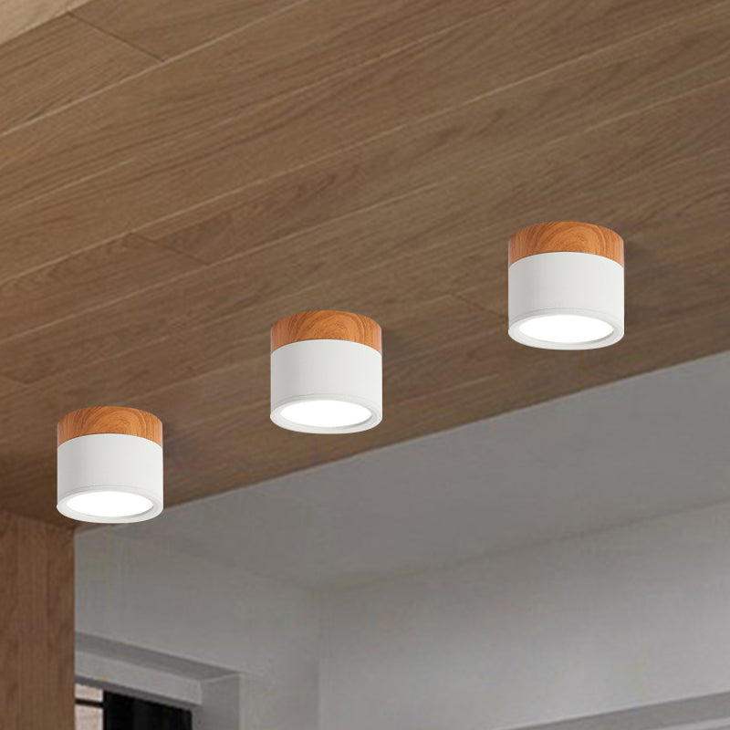 VibrantGlow - Kleine Plafondlamp in Stijl