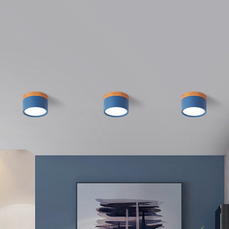 VibrantGlow - Kleine Plafondlamp in Stijl