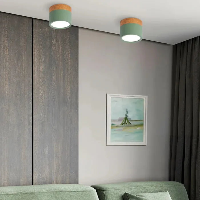 VibrantGlow - Kleine Plafondlamp in Stijl
