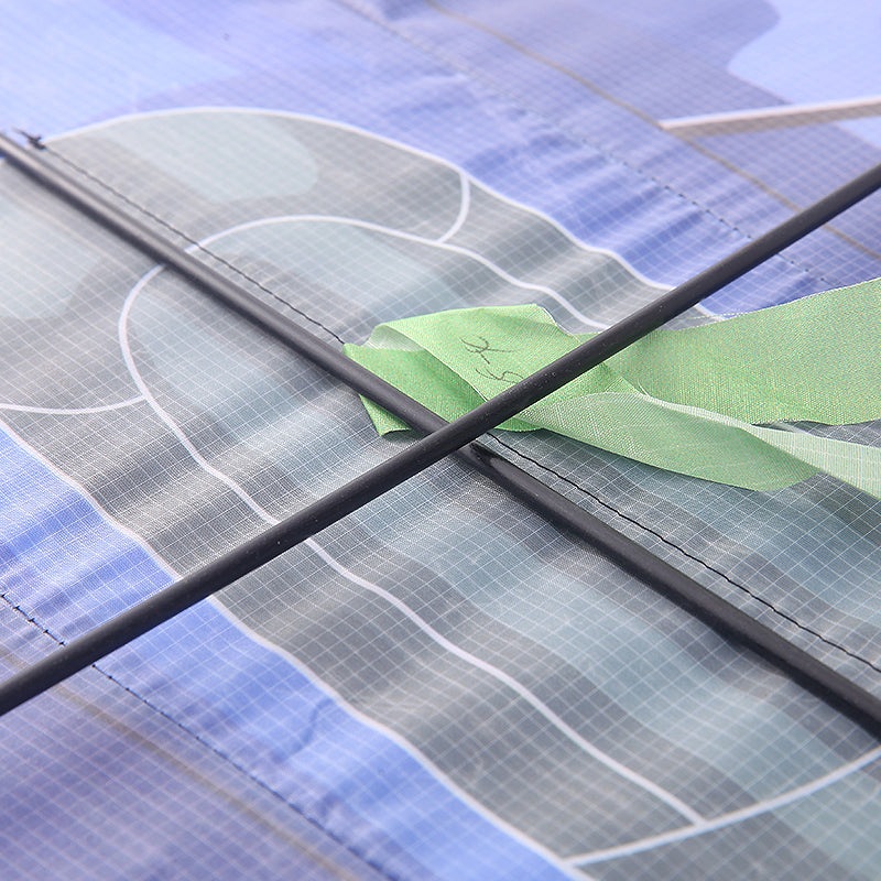 Luchtvonk Vliegtuig Vlieger voor Kinderen met Handvat en Lijn