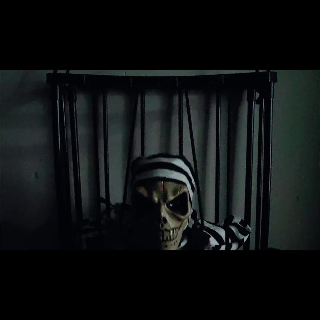 TerrorBone Geanimeerd Schreeuwend Skelet – Hangende Halloween Prop met Bewegingssensor
