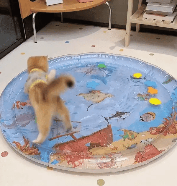 PurrPulse Interactief Katten Speelbal – Houd Je Kat Actief en Gelukkig