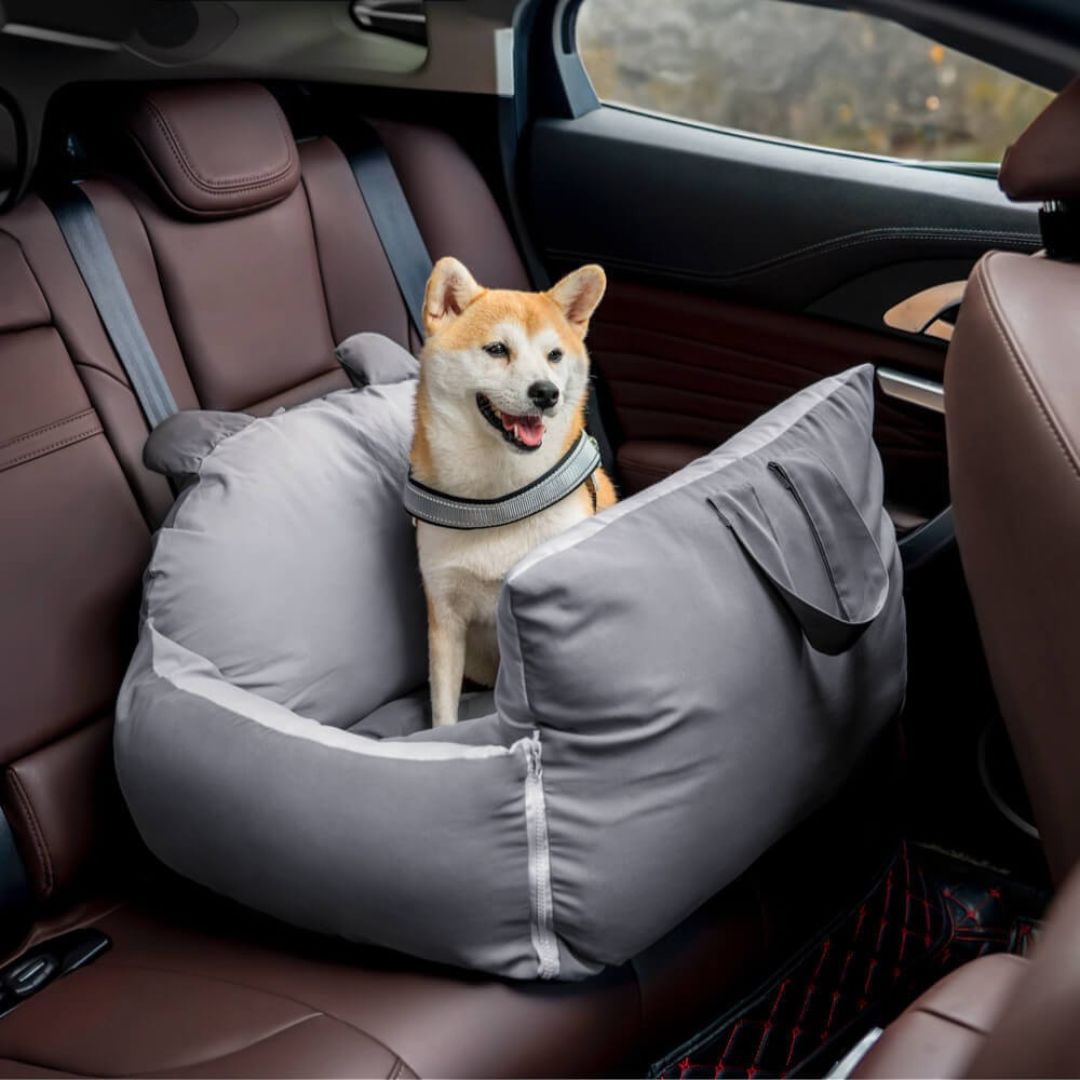 PawRide Honden Autostoel Met Veiligheidsclip