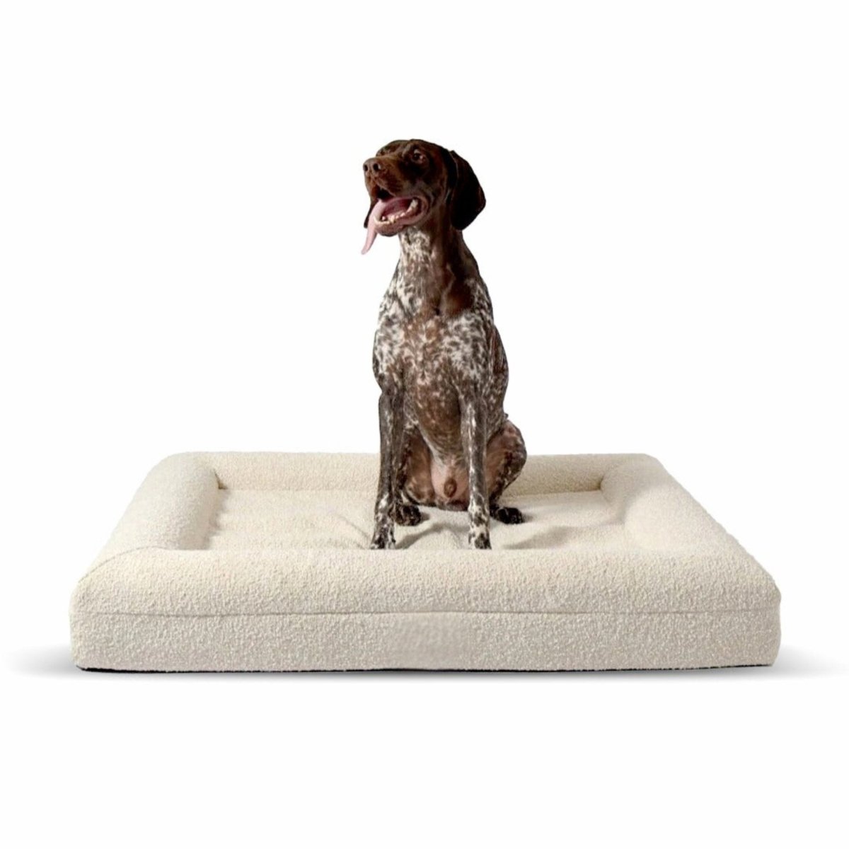 Orthopedisch Hondenkussen met Bouclé Hoes – Memory Foam en Wasbaar