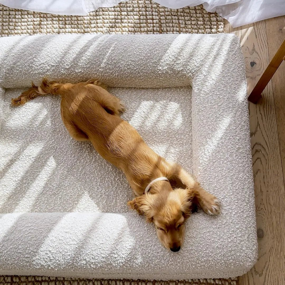 Orthopedisch Hondenkussen met Bouclé Hoes – Memory Foam en Wasbaar