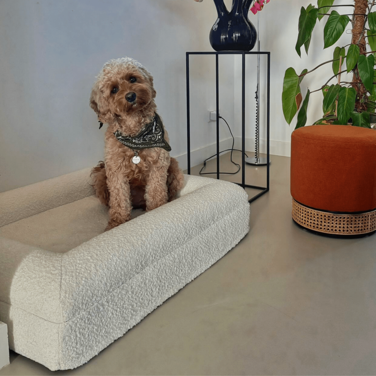 Orthopedisch Hondenkussen met Bouclé Hoes – Memory Foam en Wasbaar