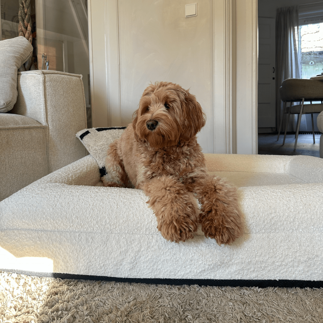 Orthopedisch Hondenkussen met Bouclé Hoes – Memory Foam en Wasbaar