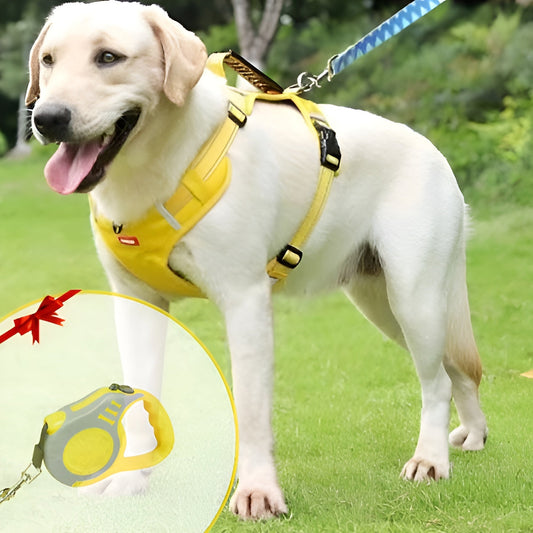 DogsControl  Anti-Trek Hondentuig – Verstelbaar & Ademend Veiligheidstuig met Reflectie